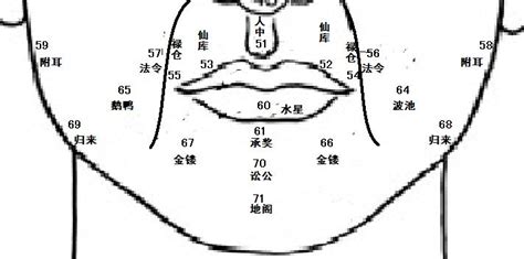 鼻挺 面相|麦玲玲面相讲座之 鼻子 – 人相学